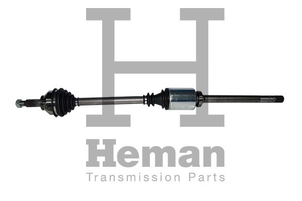 HEMAN TD71570