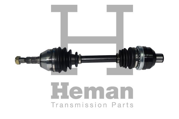 HEMAN TD76150