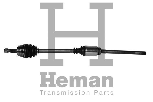 HEMAN TD72680