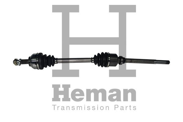 HEMAN TD75090