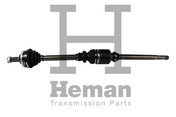 HEMAN TD72030