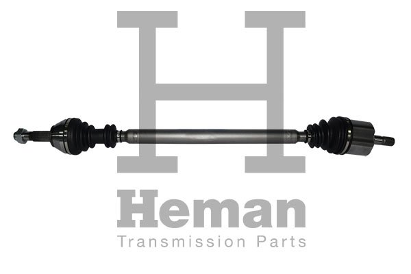 HEMAN TD70400