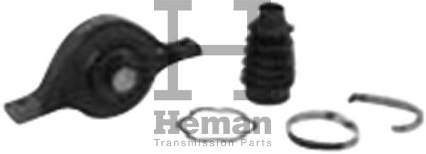 HEMAN TS00350
