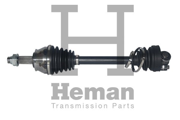 HEMAN TD82650