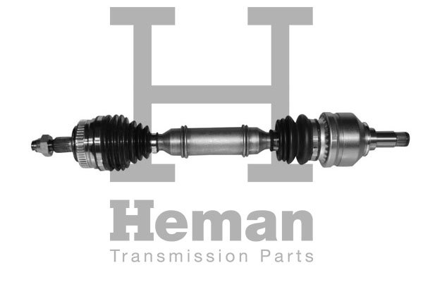 HEMAN TD71430