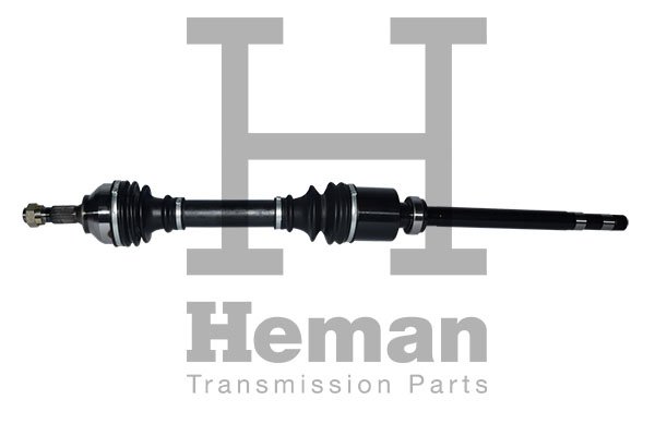 HEMAN TD77650