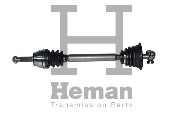 HEMAN TD72260