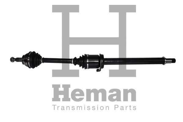 HEMAN TD77830