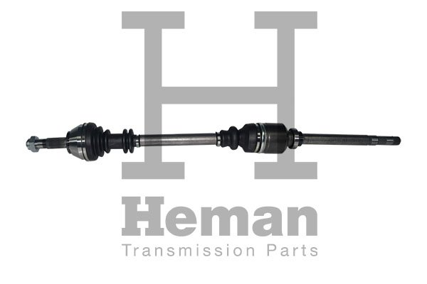 HEMAN TD70660