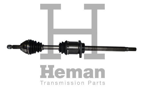 HEMAN TD89450