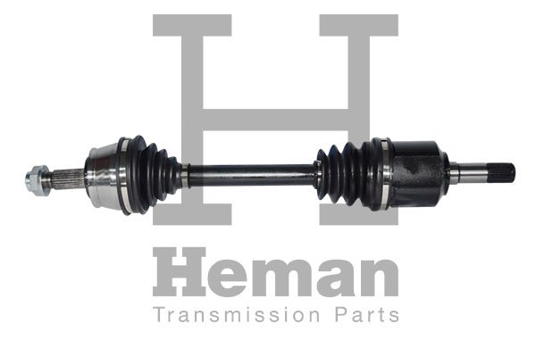 HEMAN TD78050