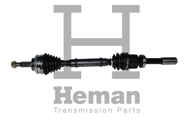 HEMAN TD72720