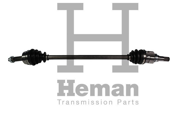 HEMAN TD75000