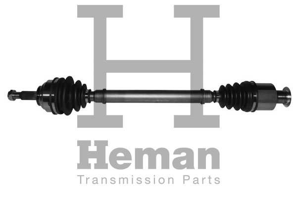 HEMAN TD72350