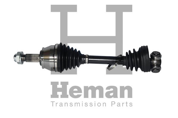 HEMAN TD82040