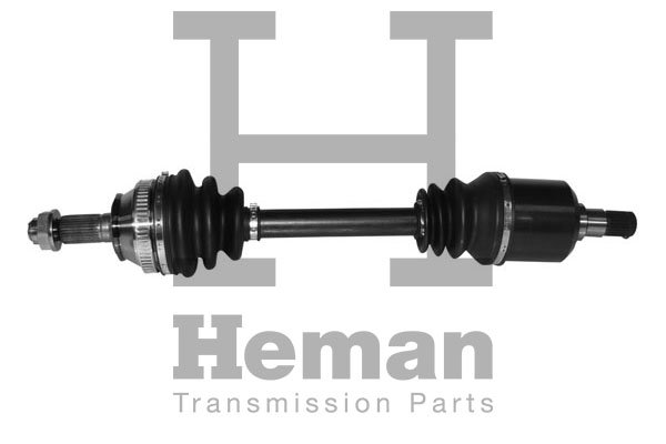 HEMAN TD72980