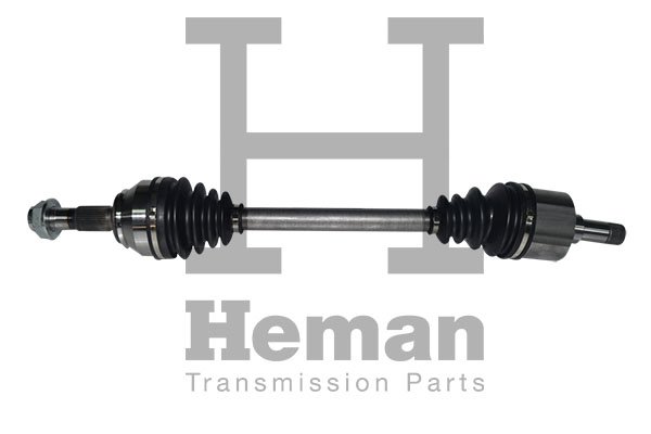 HEMAN TD82030