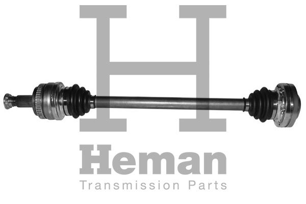 HEMAN TD70270