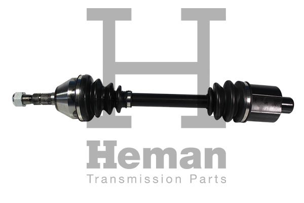 HEMAN TD71300