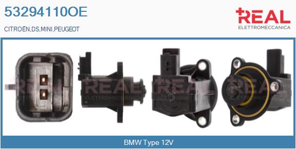 REAL 53294110OE REAL 53294110OE