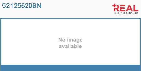 REAL 52125620BN REAL 52125620BN