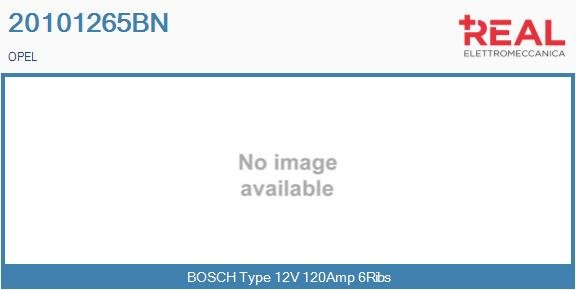 REAL 20101265BN REAL 20101265BN