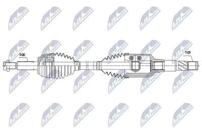 NTY NPW-CH-112
