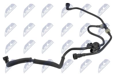 NTY BPP-FR-005 NTY BPP-FR-005