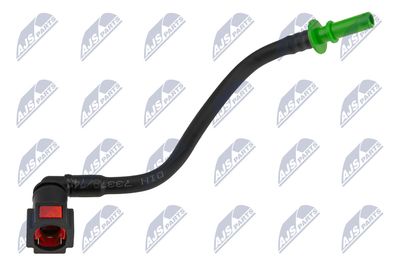 NTY BPP-CT-018 NTY BPP-CT-018