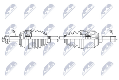 NTY NPWFT055 NTY NPWFT055