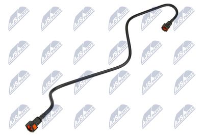 NTY BPP-CT-021