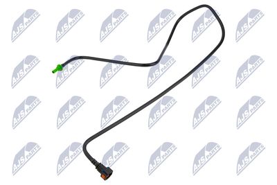 NTY BPP-CT-020