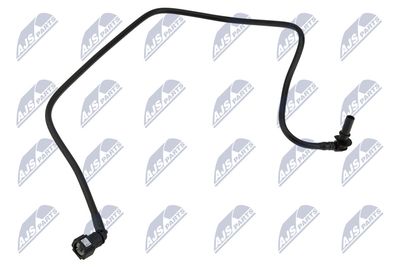 NTY BPP-CT-017