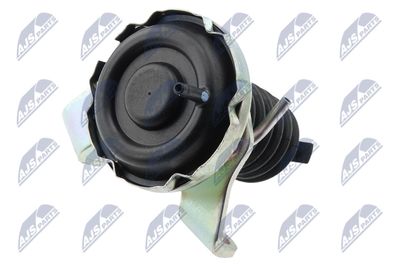 NTY NPR-MS-002 NTY NPR-MS-002