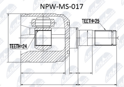 NTY NPW-MS-017