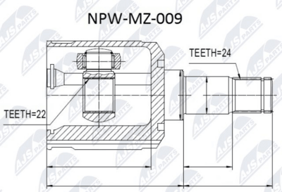 NTY NPW-MZ-009