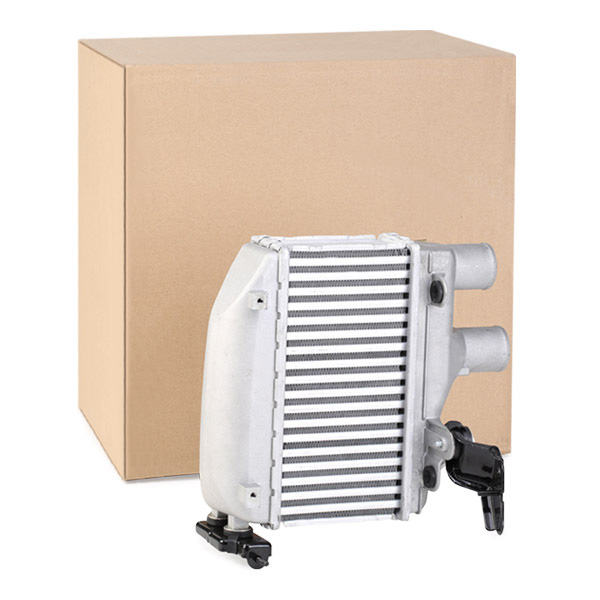 Stark SKICC-0890221 Stark SKICC-0890221