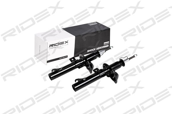 RIDEX 854S1597