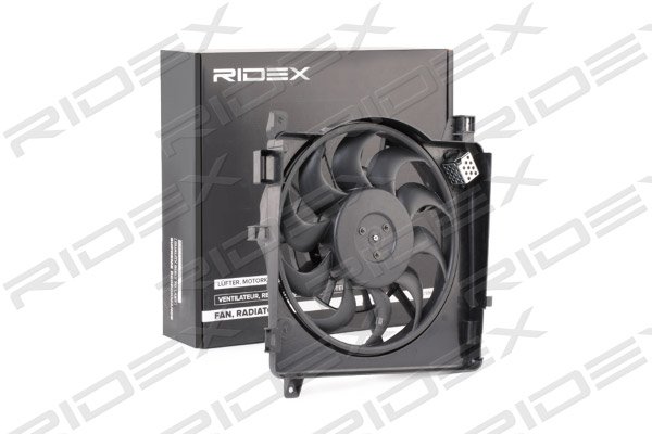 RIDEX 508R0092