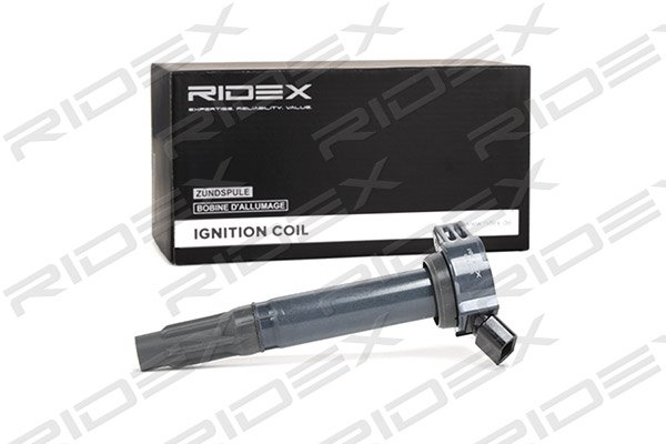 RIDEX 689C0166
