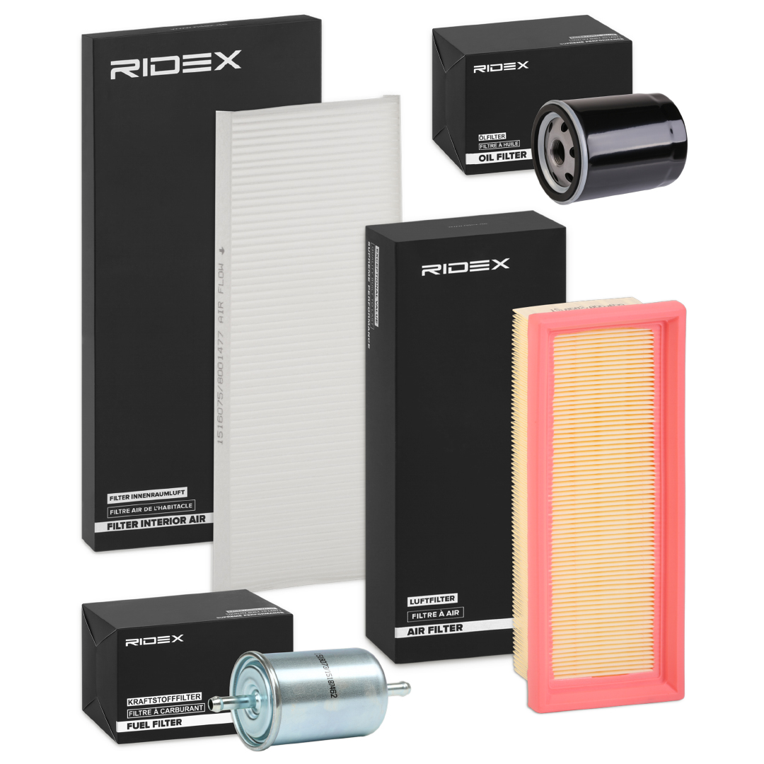 RIDEX 4055F25132