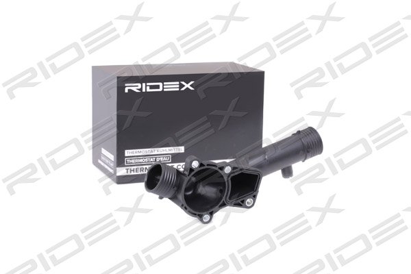 RIDEX 316T0191