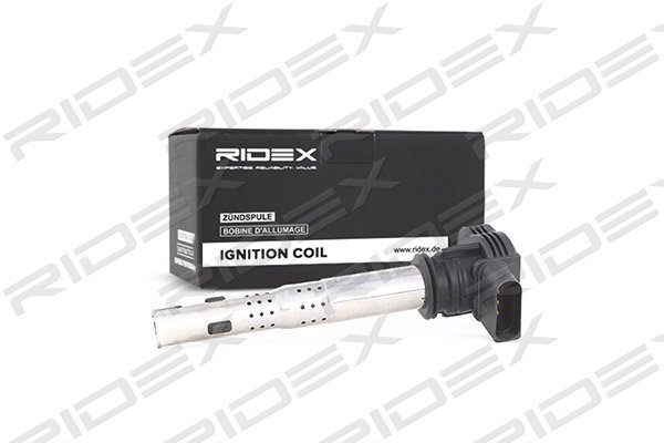 RIDEX 689C0019
