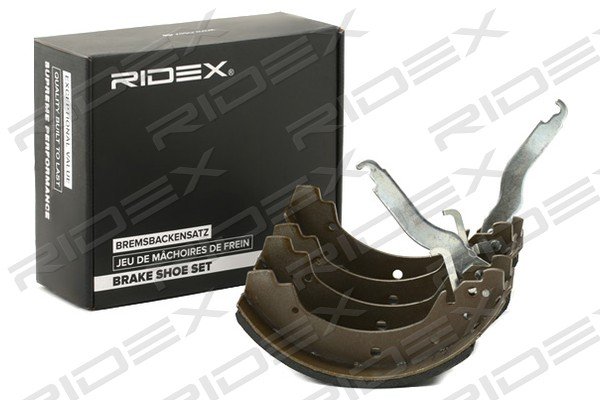RIDEX 70B0173