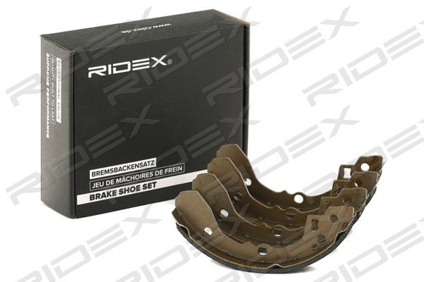 RIDEX 70B0303