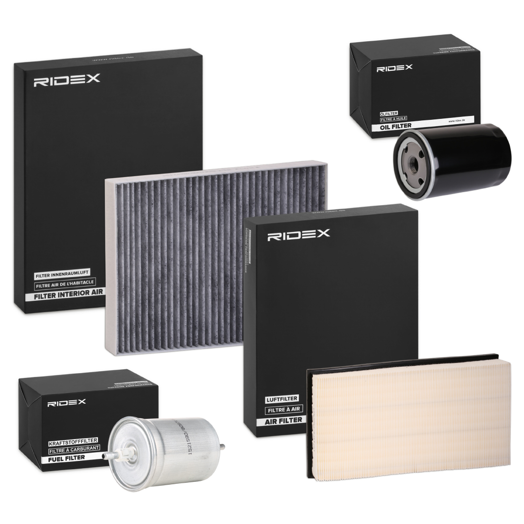 RIDEX 4055F12301