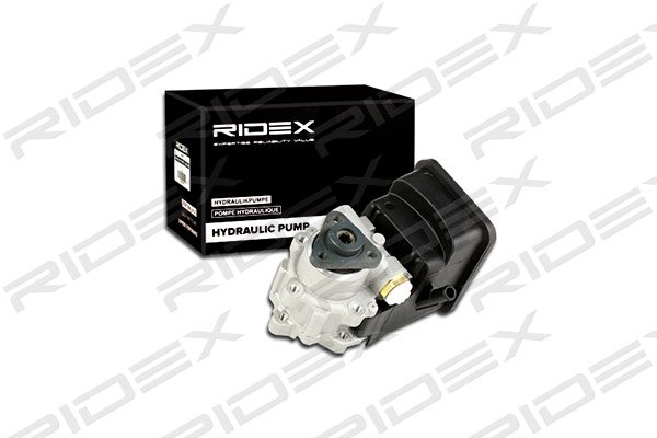 RIDEX 12H0022