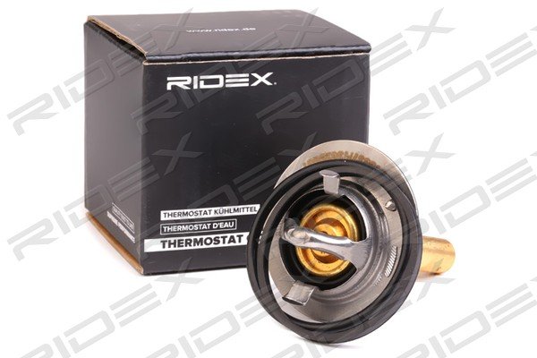 RIDEX 316T0066