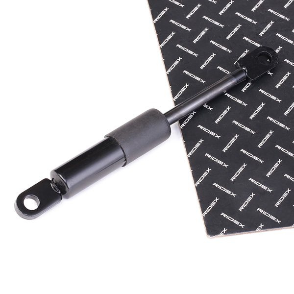RIDEX 1207G0007