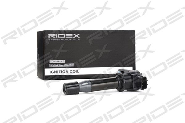 RIDEX 689C0246